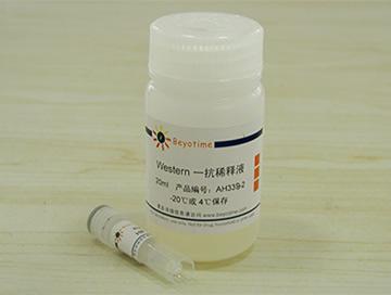 HIF-1α抗体(小鼠单抗)